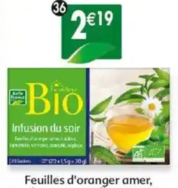 Maximo Infusion du soir feuilles d'oranger amer rooibos camomille verveine cannelle réglisse offre