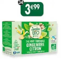 Maximo Thé vert gingembre citron extraits de citron et citron vert offre