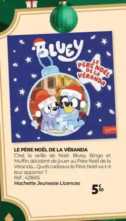 Auchan BLEUY Le père noël de la véranda offre