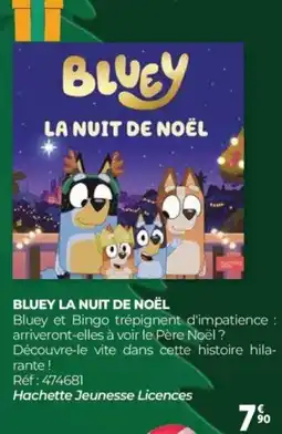 Auchan BLUEY La nuit de noël offre