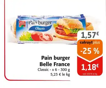 Colruyt BELEL FRANCE Pain burger Classic offre
