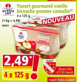 Norma ALSACE LAIT Yaourt gourmand vanille bicouche pomme cannelle offre