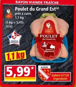 Norma Poulet du Grand Est offre