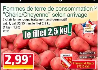 Norma Pommes de terre de consommation offre