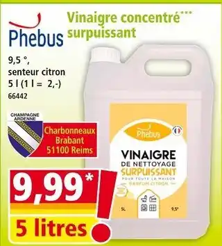 Norma Phebus Vinaigre concentré surpuissant offre