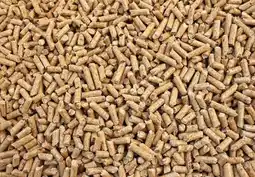 Gamm vert Granulés de bois Techno Vert offre