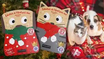 Jardiland Calendrier de l'Avent Wouapy offre