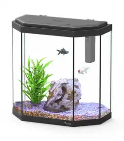 Jardiland Aquarium Explorer Rome offre