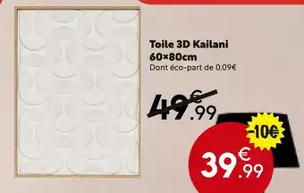Maxi Bazar KAILANI Toile 3D offre