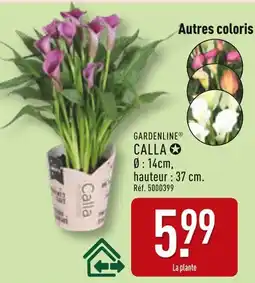ALDI Gardenline Calla offre