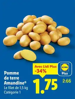 Lidl Pomme de terre Amandine offre