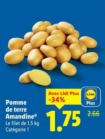 Pomme de terre Amandine