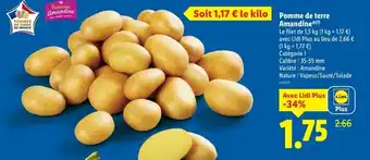Lidl Pomme de terre Amandine offre