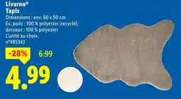 Lidl LIVARNO Tapis offre