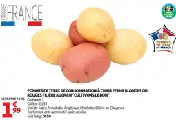Auchan Pommes de terre de consommation à chair ferme blondes ou rouges filière auchan cultivons le bon offre