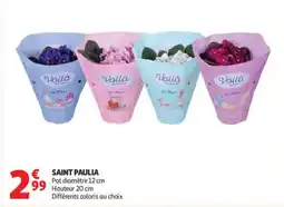 Auchan Saint paulia offre