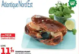 Auchan Tourteau vivant offre