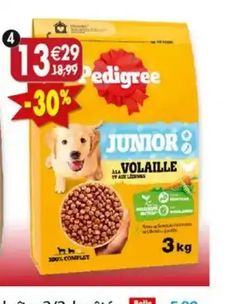Maximo Pedigree junior offre