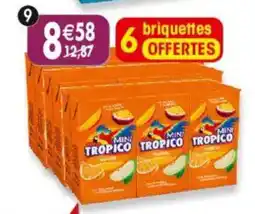 Maximo Lot de 2x6 briquettes de tropico tropical offre