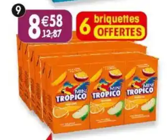 Maximo Lot de 2x6 briquettes de tropico tropical offre