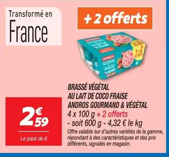 Netto Brassé végétal au lait de coco fraise andros gourmand & végétal offre