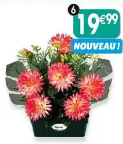 Maximo Jardinière de pomponnettes et verdure offre