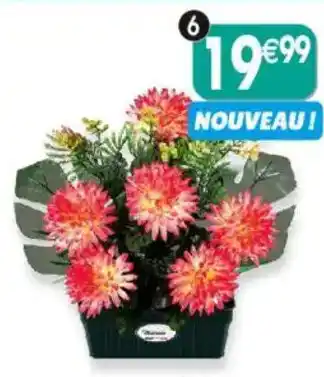 Maximo Jardinière de pomponnettes et verdure offre