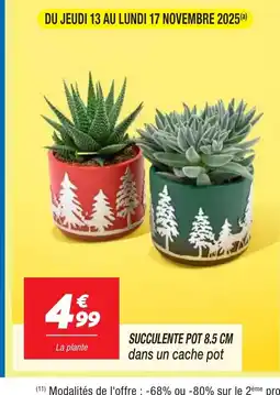 Netto Succulente pot offre