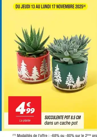 Netto Succulente pot offre