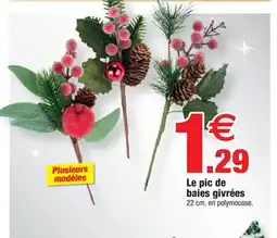 Bazarland Le pic de baies givrées offre