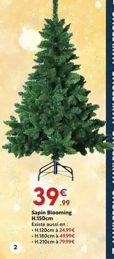 Maxi Bazar Sapin Blooming offre