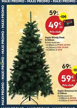 Maxi Bazar Sapin Windy Peak offre