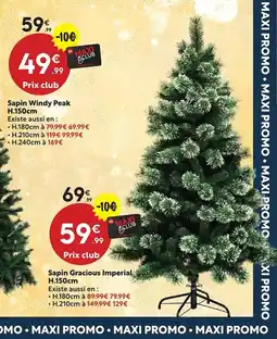 Maxi Bazar Sapin Gracious Imperial offre