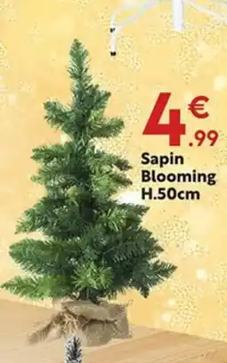 Maxi Bazar Sapin Blooming offre