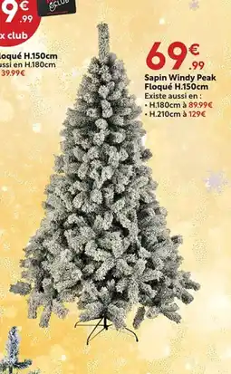 Maxi Bazar Sapin Windy Peak Floqué offre