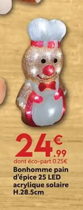 Maxi Bazar Bonhomme pain d'épice 25 LED acrylique solaire offre