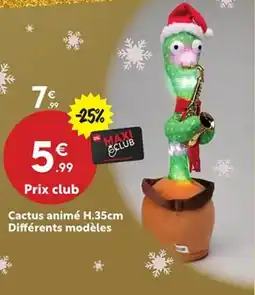 Maxi Bazar Cactus animé offre