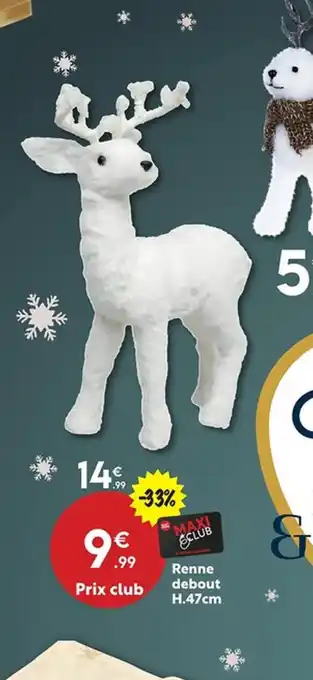 Maxi Bazar Renne debout offre