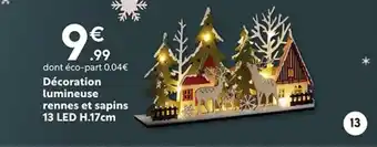 Maxi Bazar Décoration lumineuse rennes et sapins offre