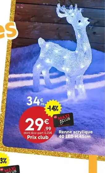 Maxi Bazar Renne acrylique 40 LED offre