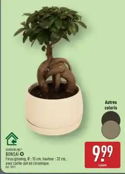 ALDI Bonsai offre