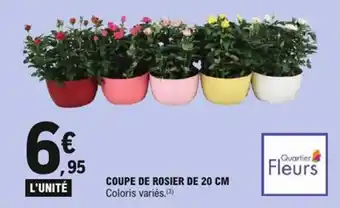 E.Leclerc Express Coupe de rosier de offre