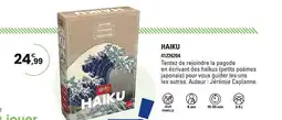 JouéClub HAIKU offre