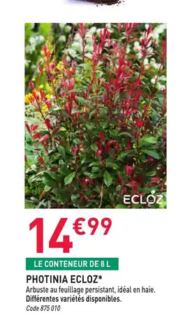 RAGT Jardin & Maison Photinia ecloz offre