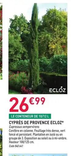 RAGT Jardin & Maison Cyprès de provence ecloz offre