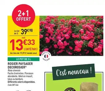 Rosier paysager decorosier