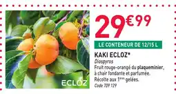 RAGT Jardin & Maison Kaki ecloz offre