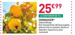 RAGT Jardin & Maison Cognassier offre