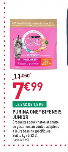 RAGT Jardin & Maison PURINA ONE Bifensis junior offre