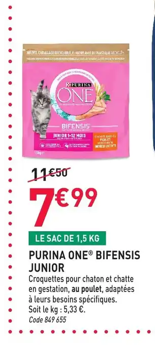 RAGT Jardin & Maison PURINA ONE Bifensis junior offre